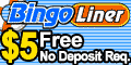 No Deposit Bingo